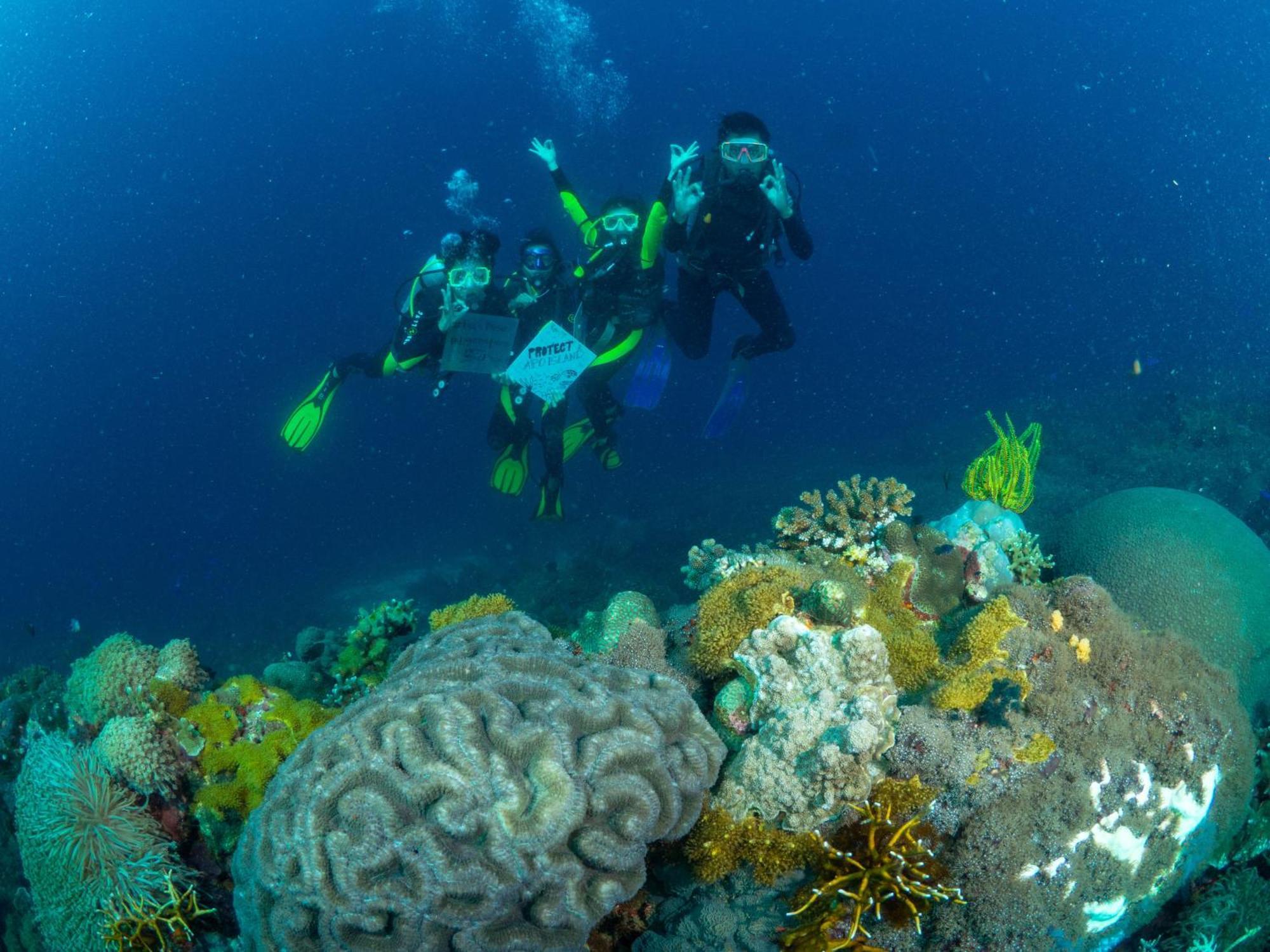 Liberty'S Lodge And Diving - Apo Island Dumaguete City Dış mekan fotoğraf