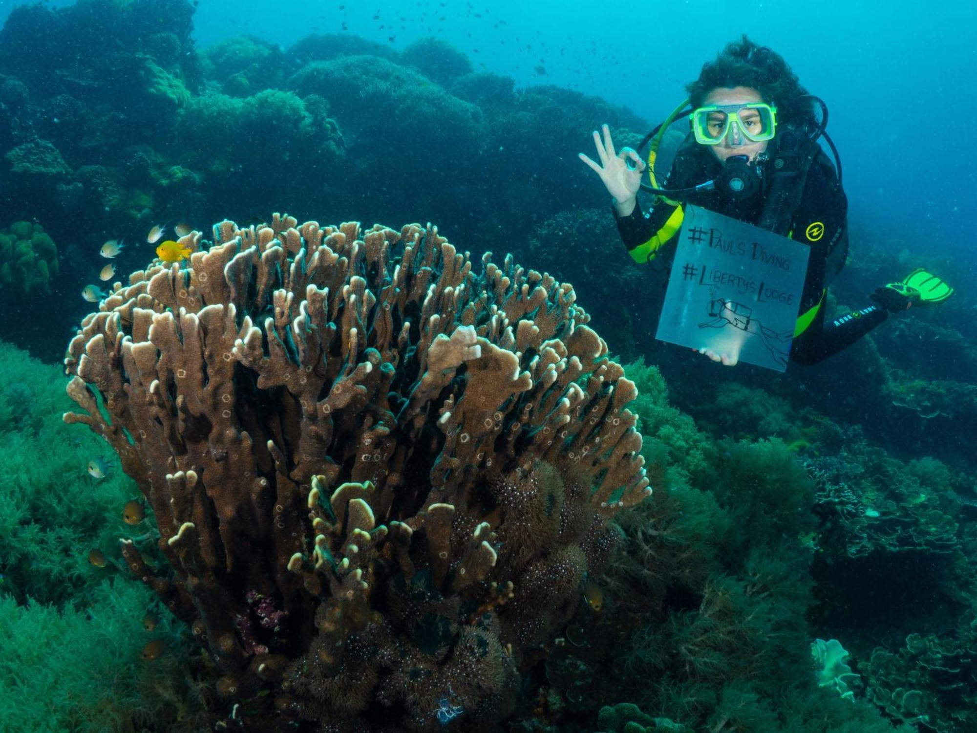 Liberty'S Lodge And Diving - Apo Island Dumaguete City Dış mekan fotoğraf