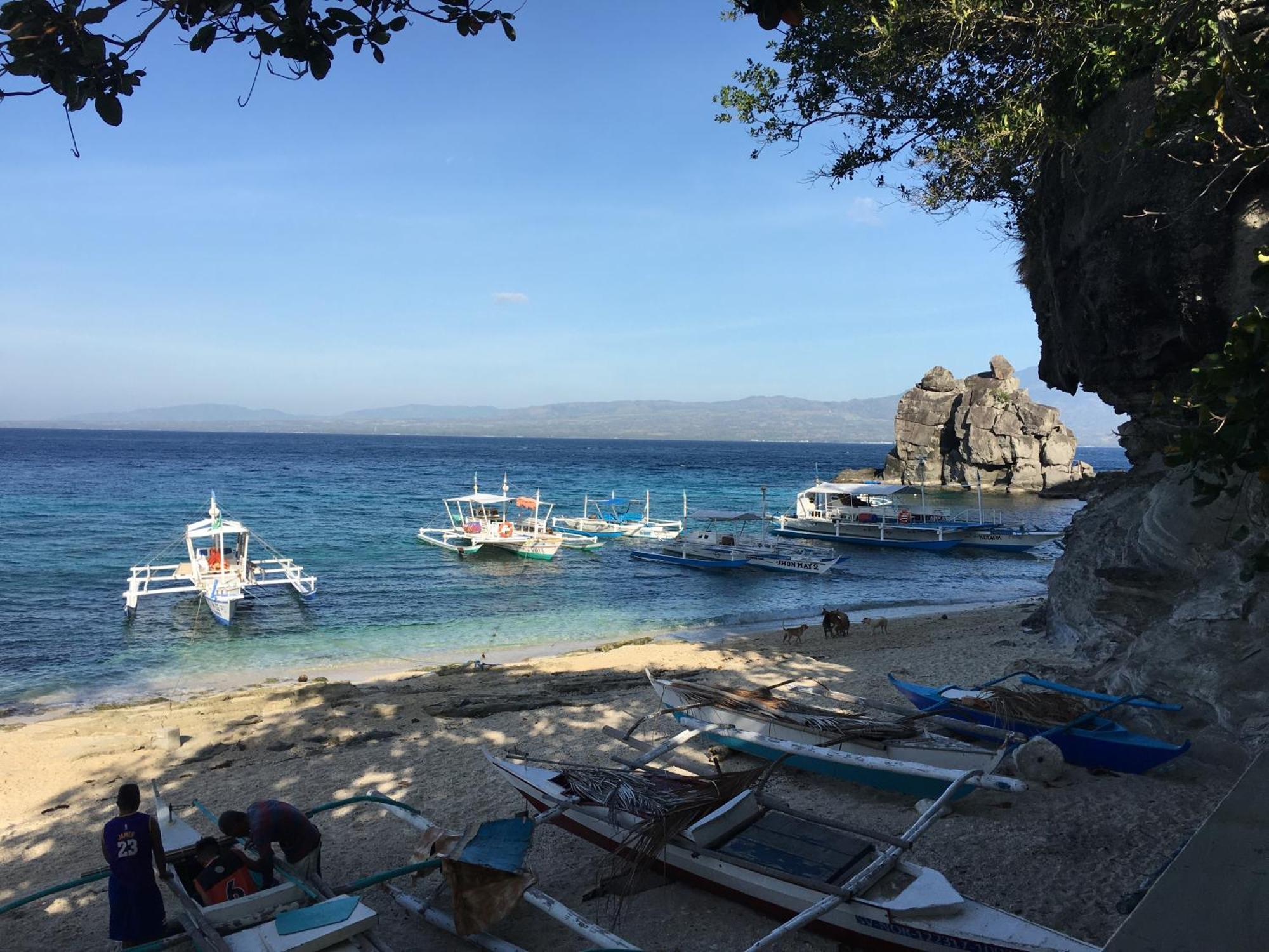 Liberty'S Lodge And Diving - Apo Island Dumaguete City Dış mekan fotoğraf